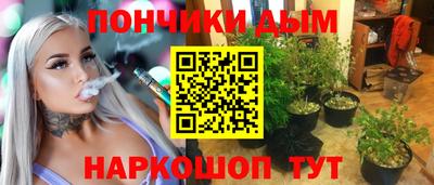 индика Пушкино