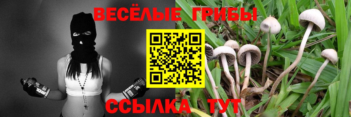 Псилоцибиновые грибы Psilocybe  Галлюциногенные грибы мицелий  Прокопьевск  Вход с VPN 